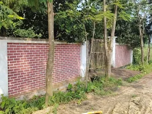 East-facing 3 katha plot beside 300 feet road, sector number 9.