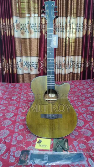 স্কো এসকিউ-এইচ-এফজিএস অ্যাকোস্টিক গিটার