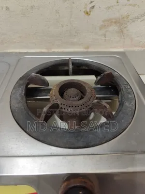 গ্যাসের চুলা (Gas Stove)