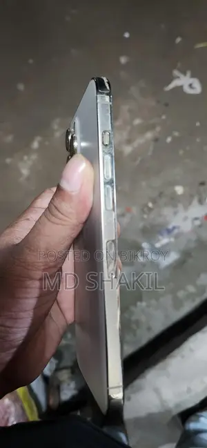 অ্যাপল আইফোন ১২ প্রো ম্যাক্স ২৫৬ জিবি গোল্ড