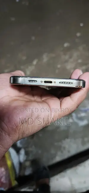 অ্যাপল আইফোন ১২ প্রো ম্যাক্স ২৫৬ জিবি গোল্ড