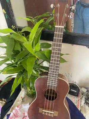 ইউকুলেলে ২৪ ইঞ্চি