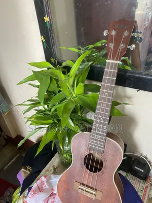 ইউকুলেলে ২৪ ইঞ্চি
