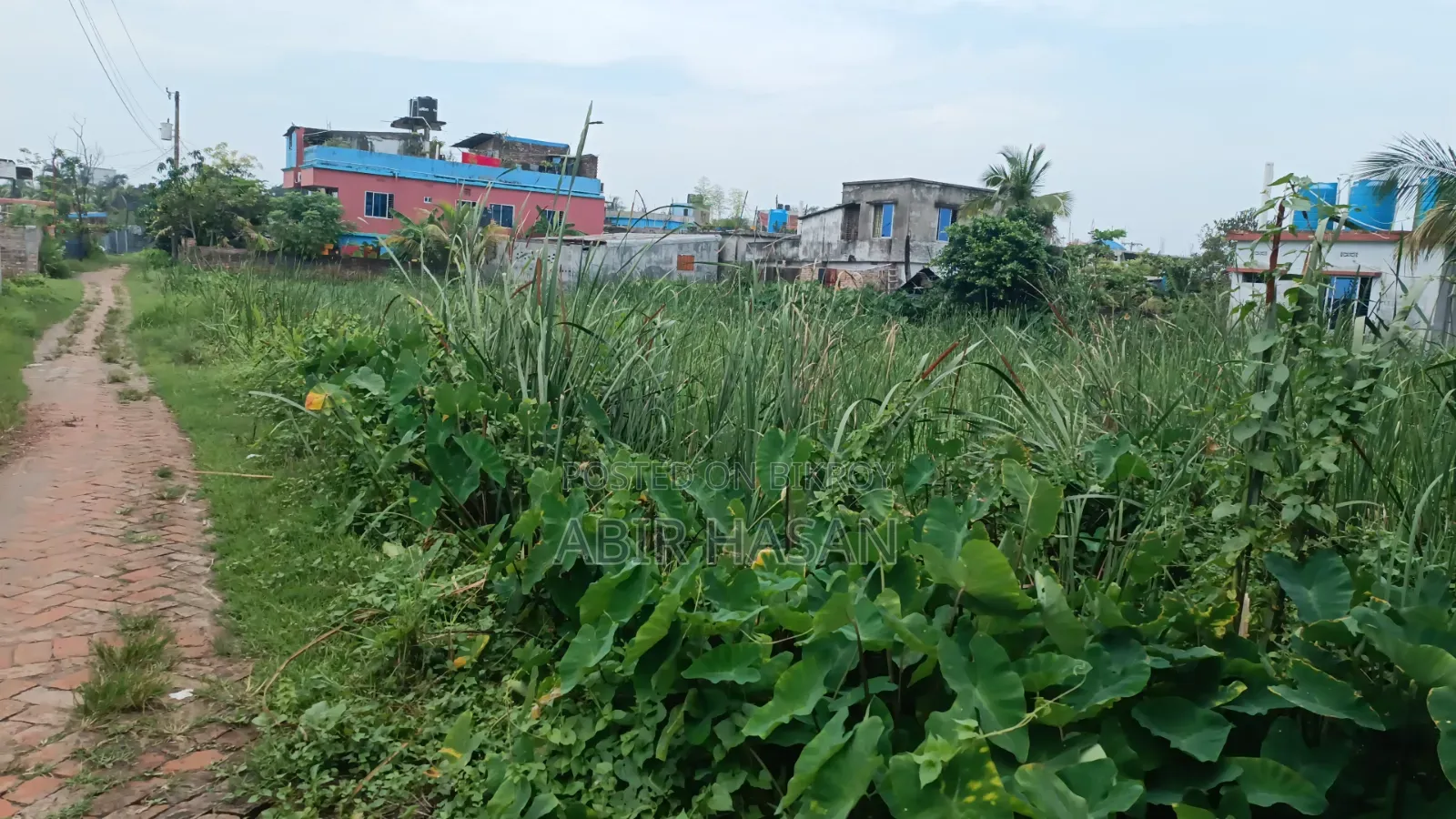 4 katha land for sale at plot no. 6 on the right entering Ibrahim Road, Krishnanagar/Fatehabag