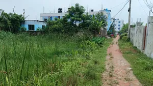 4 katha land for sale at plot no. 6 on the right entering Ibrahim Road, Krishnanagar/Fatehabag