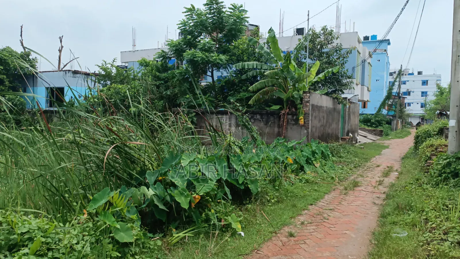 4 katha land for sale at plot no. 6 on the right entering Ibrahim Road, Krishnanagar/Fatehabag