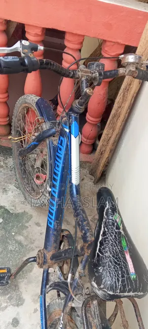 Arc Vector 2026 Black