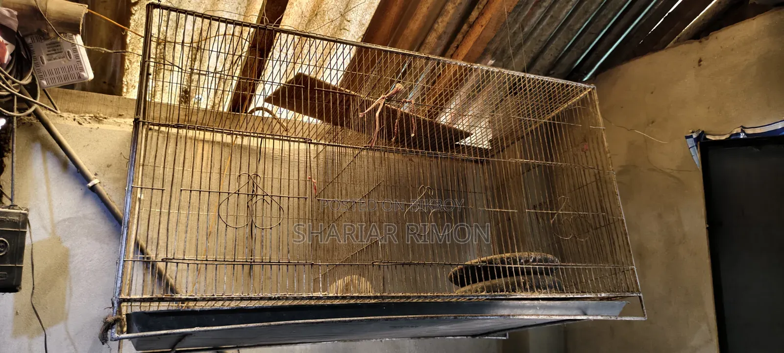 A sturdy bird cage will be sold