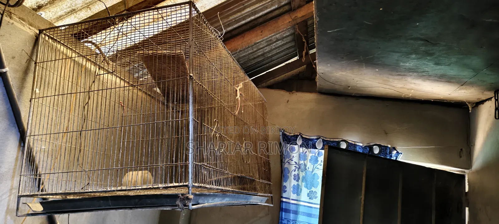 A sturdy bird cage will be sold
