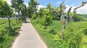 ৩ গন্ডা জমি বিক্রয়