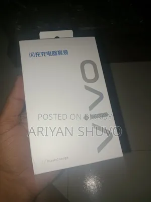 80W Vivo New Charger