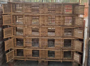 Pigeon Loft for Sale