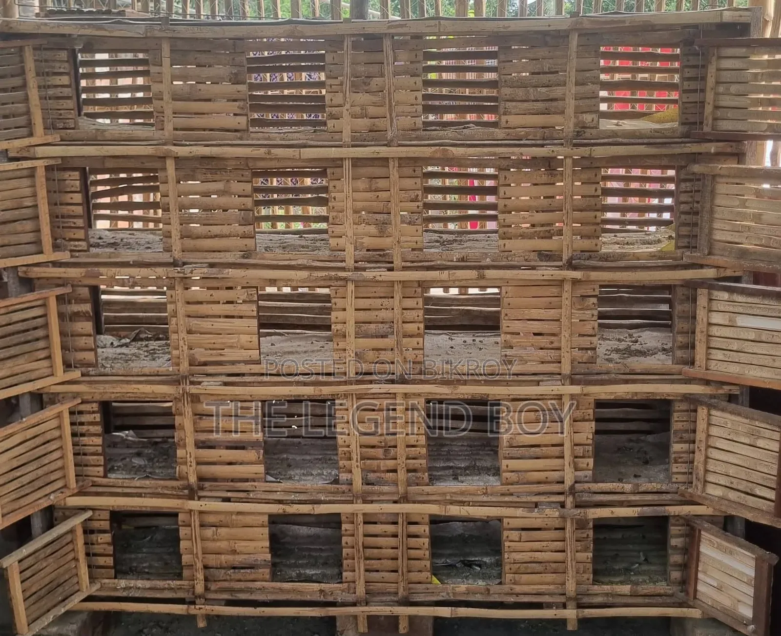 Pigeon Loft for Sale