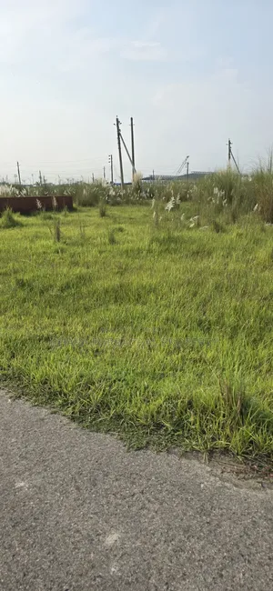 রাজউক পূর্বাচল ৪০ ও ৩০ ফুট দক্ষিণমুখী পার্ক ভিউ প্লট বিক্রি