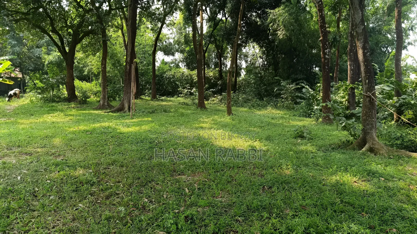 জমি বিক্রি