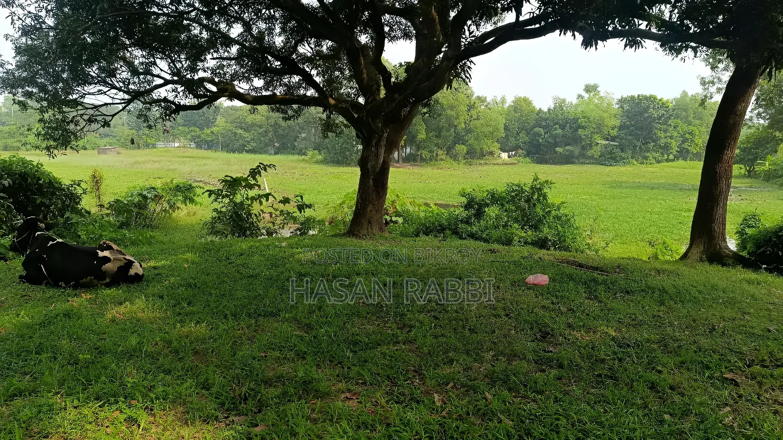 জমি বিক্রি