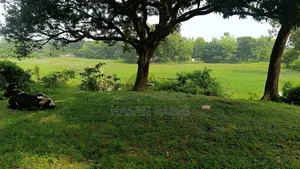 জমি বিক্রি