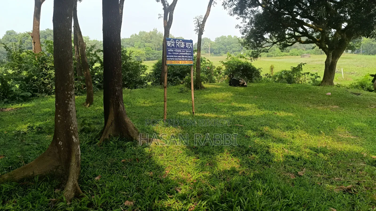 জমি বিক্রি