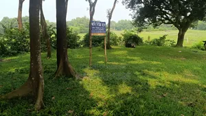 জমি বিক্রি