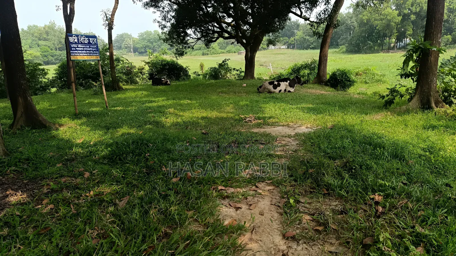 জমি বিক্রি