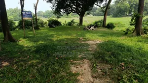 জমি বিক্রি