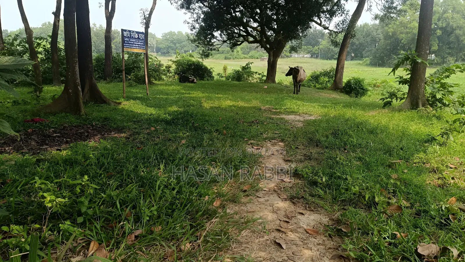জমি বিক্রি