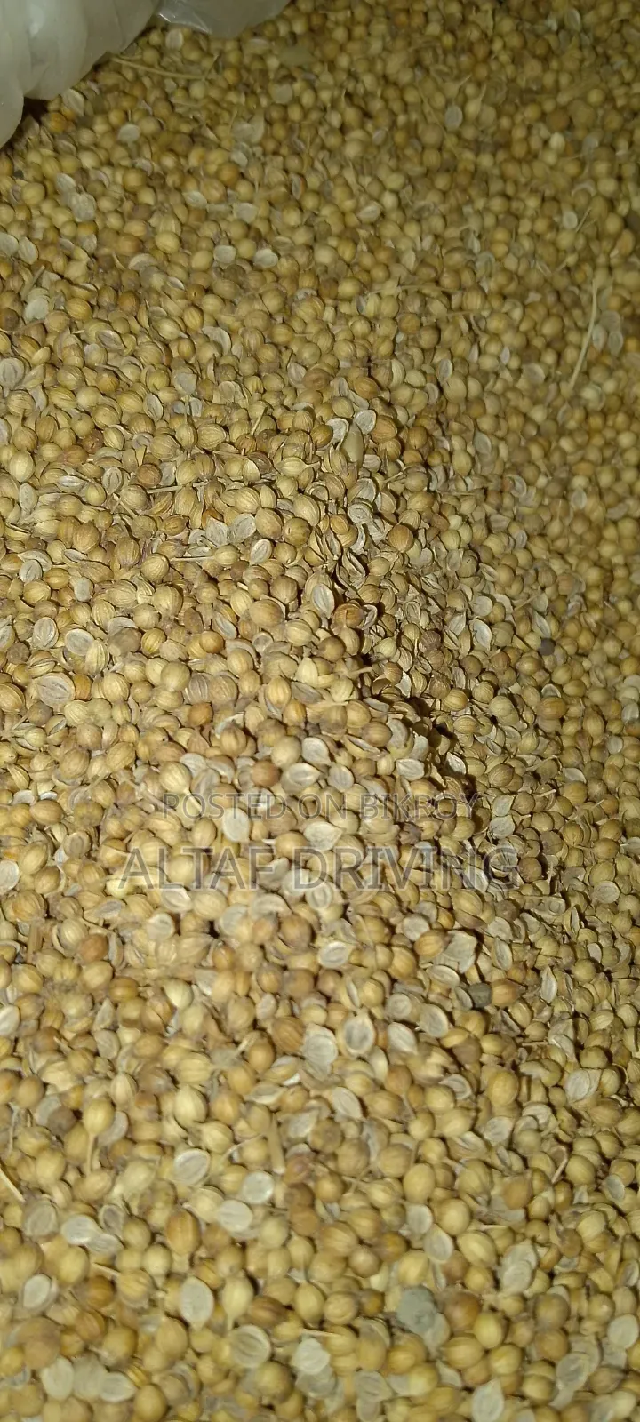 Coriander 40 kg for sale