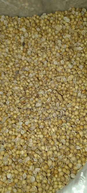 Coriander 40 kg for sale