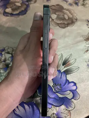 অ্যাপল আইফোন ১২ প্রো ২৫৬ জিবি ব্ল্যাক