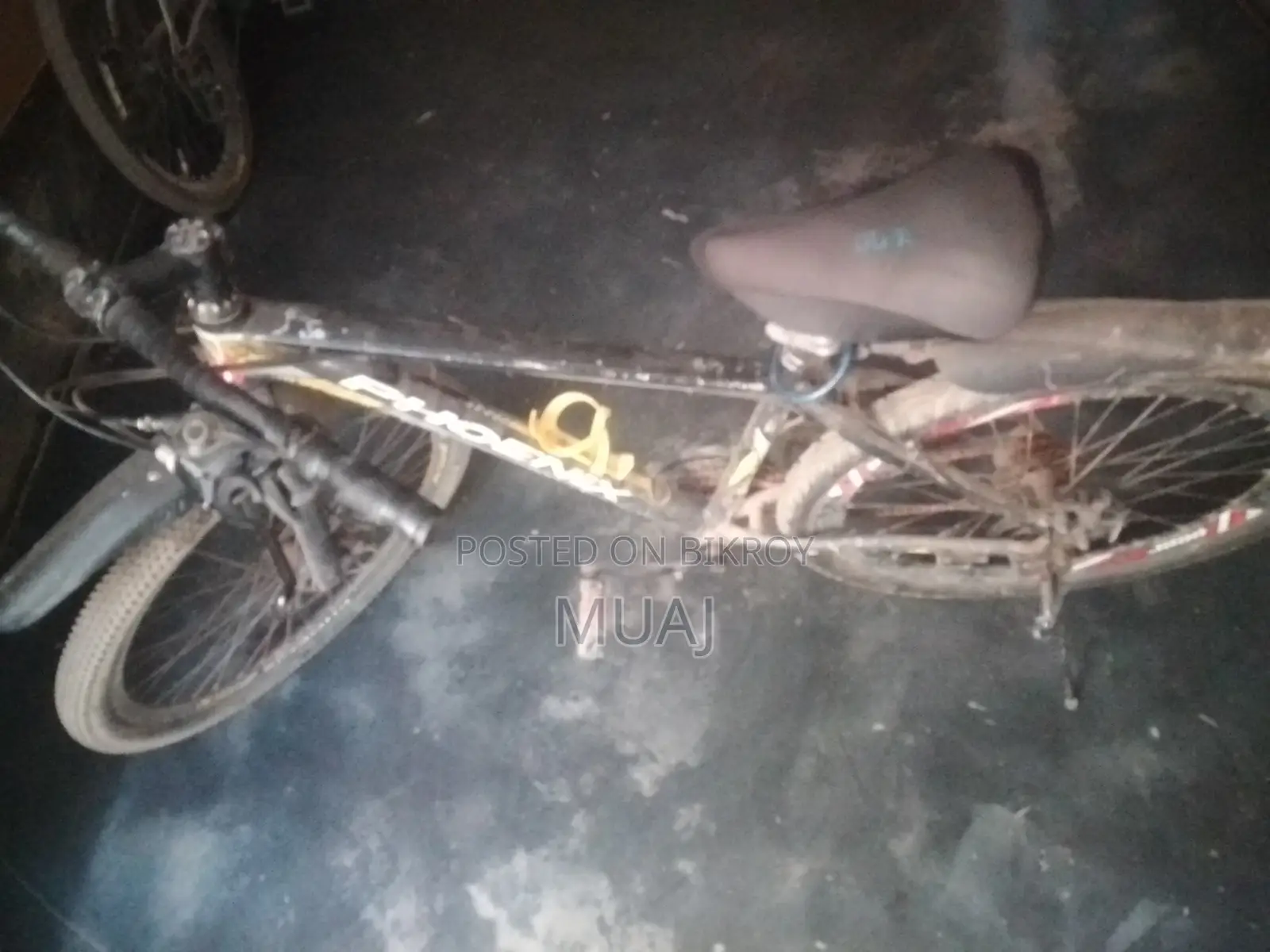 Cycle Phonix