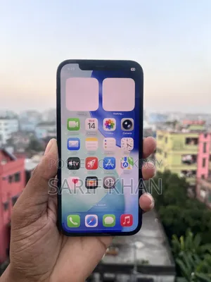 অ্যাপল আইফোন ১২ প্রো ২৫৬ জিবি ব্লু