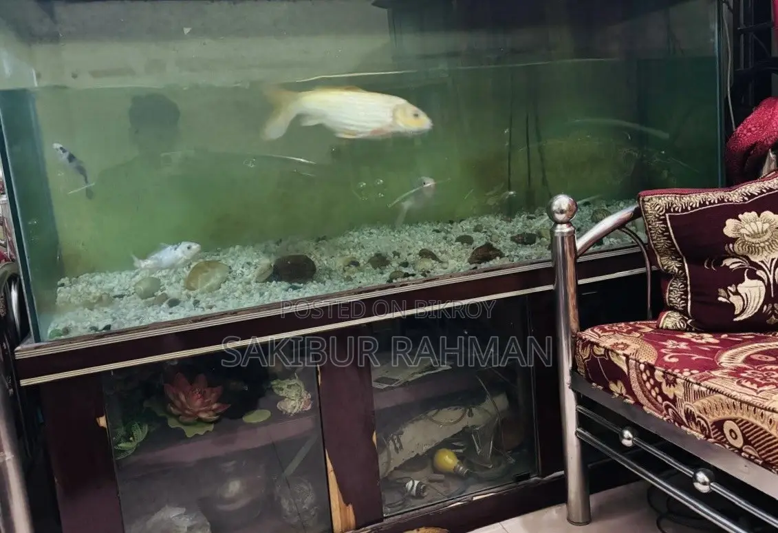 Large size aquarium for sale