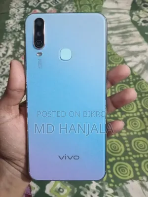 ভিভো ওয়াই ১৭ ২৫৬ জিবি
