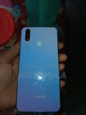 ভিভো ওয়াই ১৭ ২৫৬ জিবি