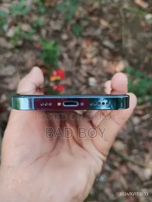 অ্যাপল আইফোন ১৩ প্রো ১২৮ জিবি