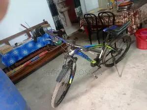 Phoenix Cycle