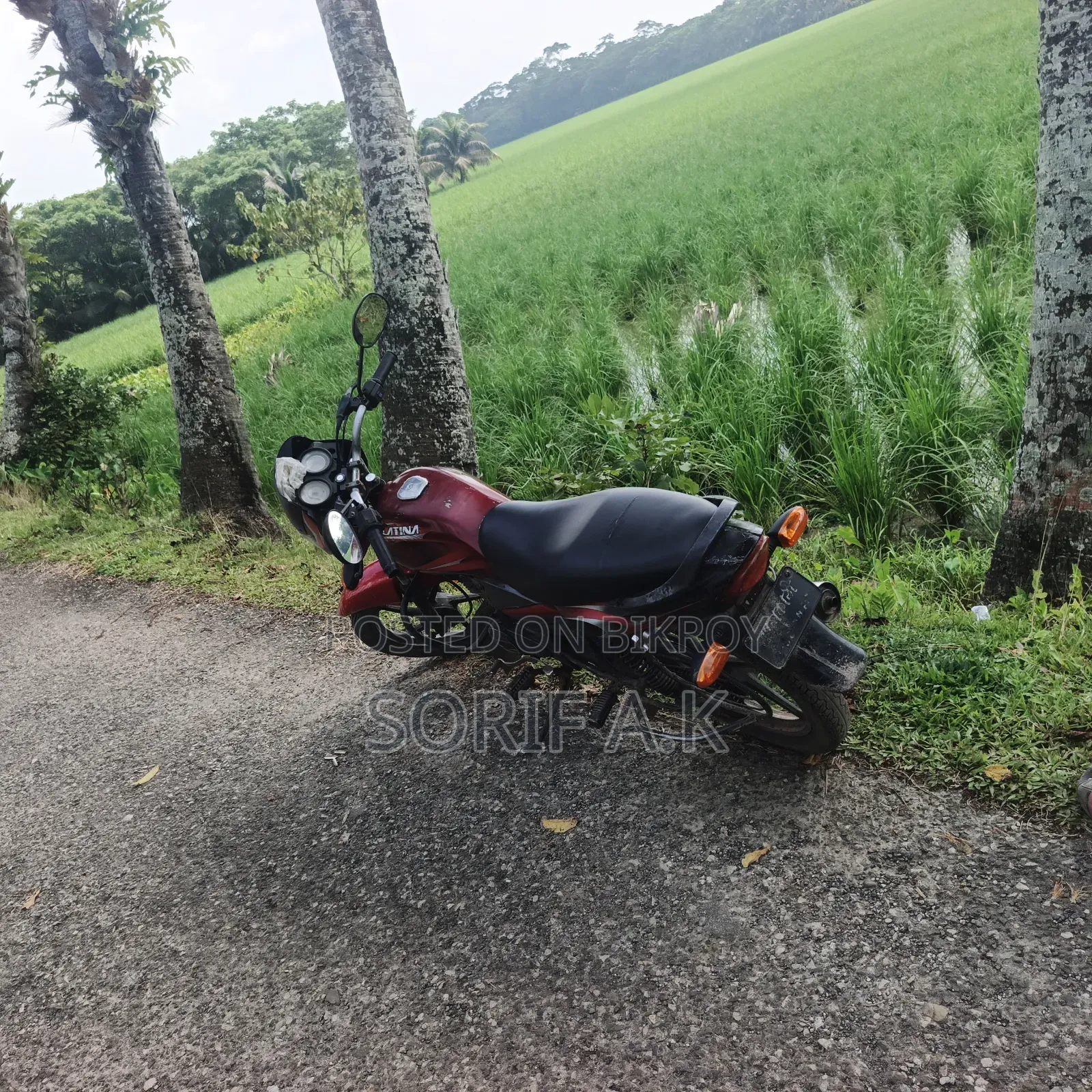 Bajaj Platina 100 2012 Red