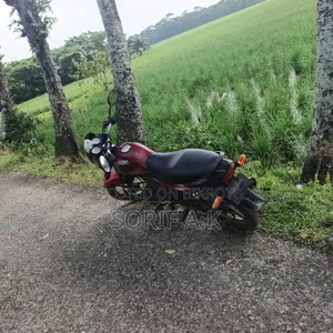 Bajaj Platina 100 2012 Red