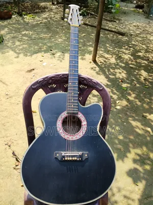 অনেক ভালো একটা গিটার
