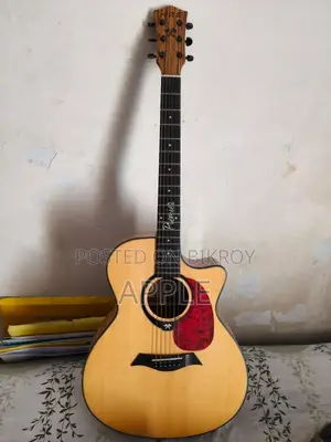 এক্স প্রিমিয়াম গিটার