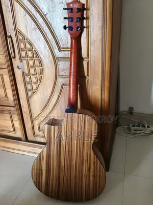 এক্স প্রিমিয়াম গিটার