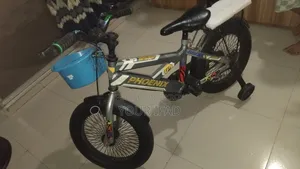 ফিনিক্স ৮.৯