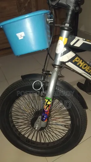 ফিনিক্স ৮.৯