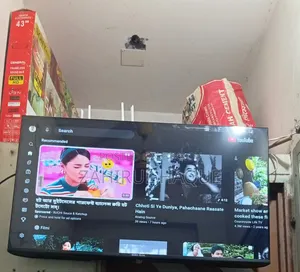 Sale China 43 Inch TV