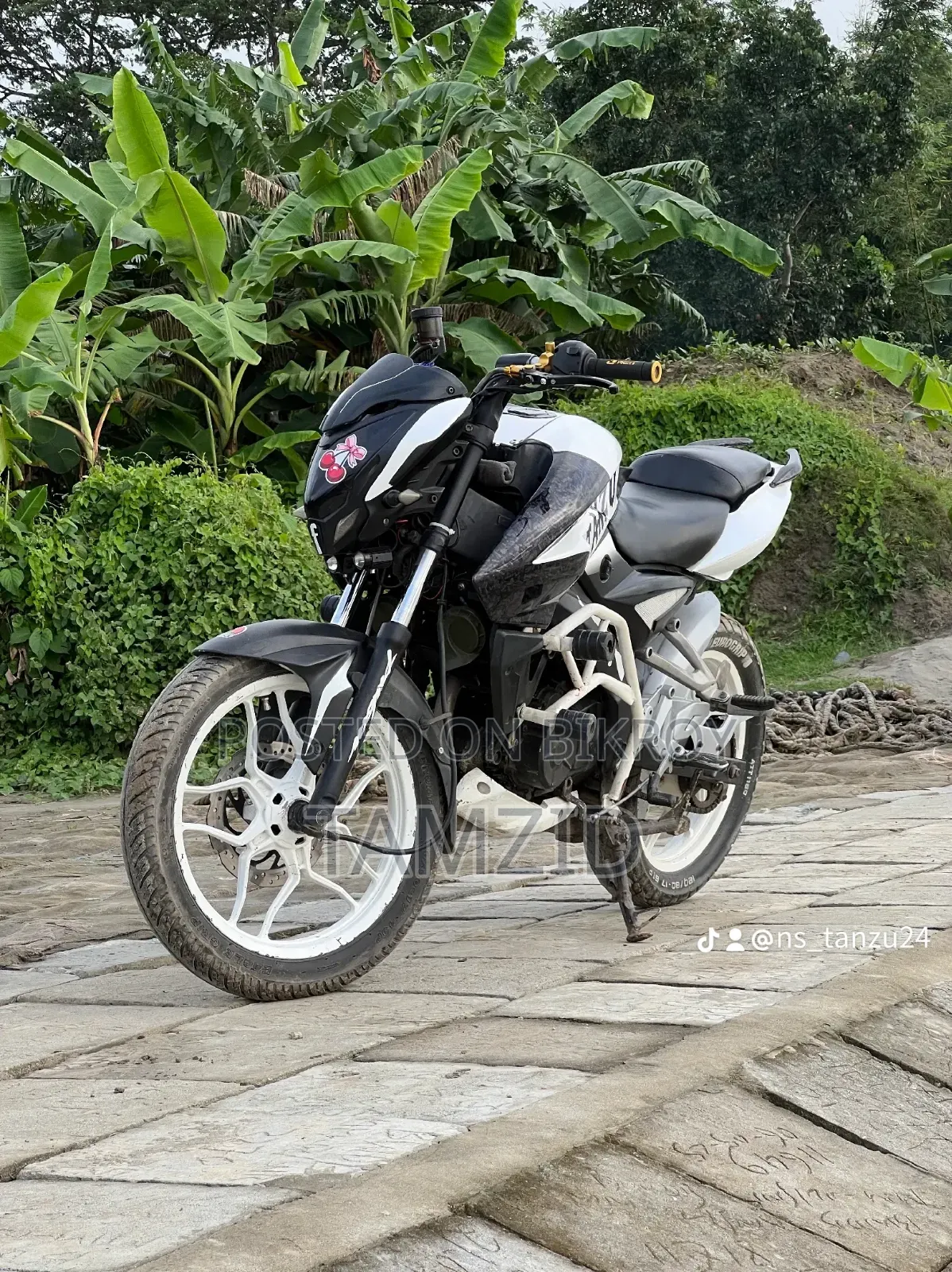 Bajaj Pulsar NS 160 2019 White