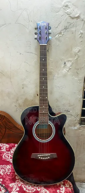 TGM-Guitar