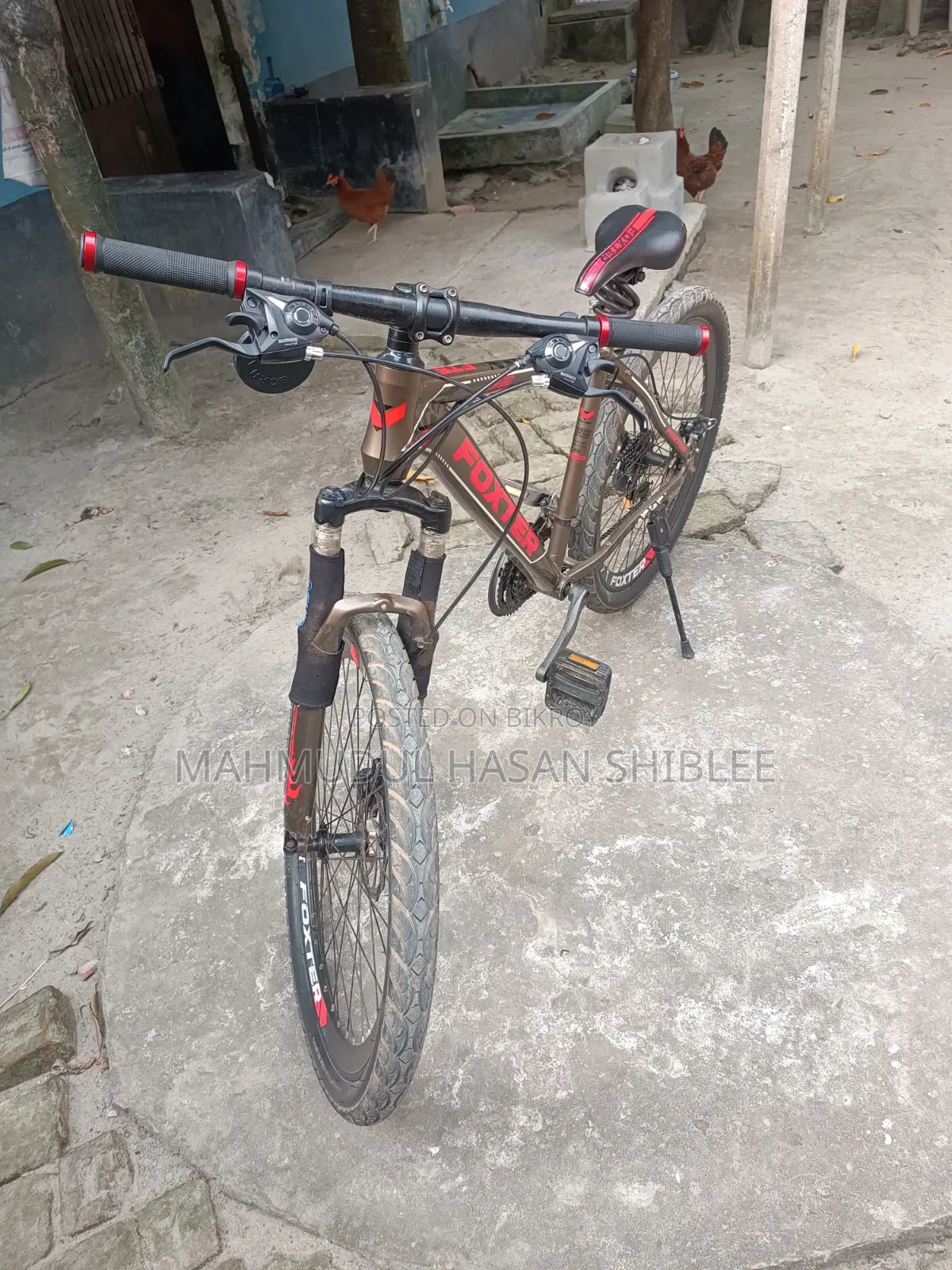 ফক্সটার সাইকেল
