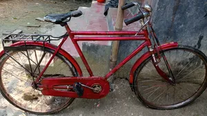 ফনিক্স বাইসাইকেল