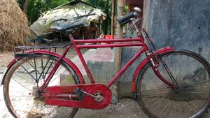 ফনিক্স বাইসাইকেল