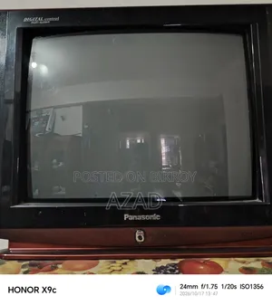 Panasonic 24" Color TV